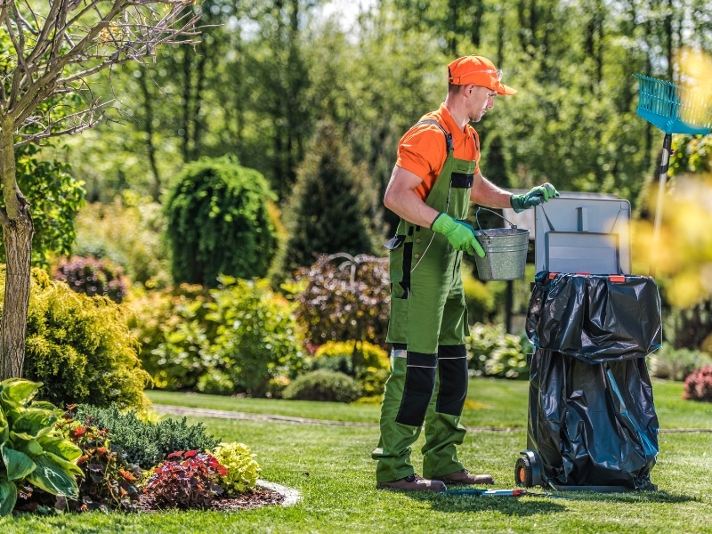 Professional gardener maintaining healthy garden beds with pruning tools in an Australian backyard